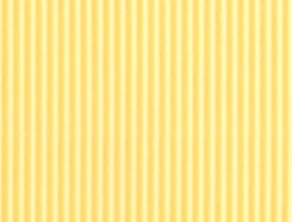 Carton ondulado liderpapel 50 x 70cm 320g/m2