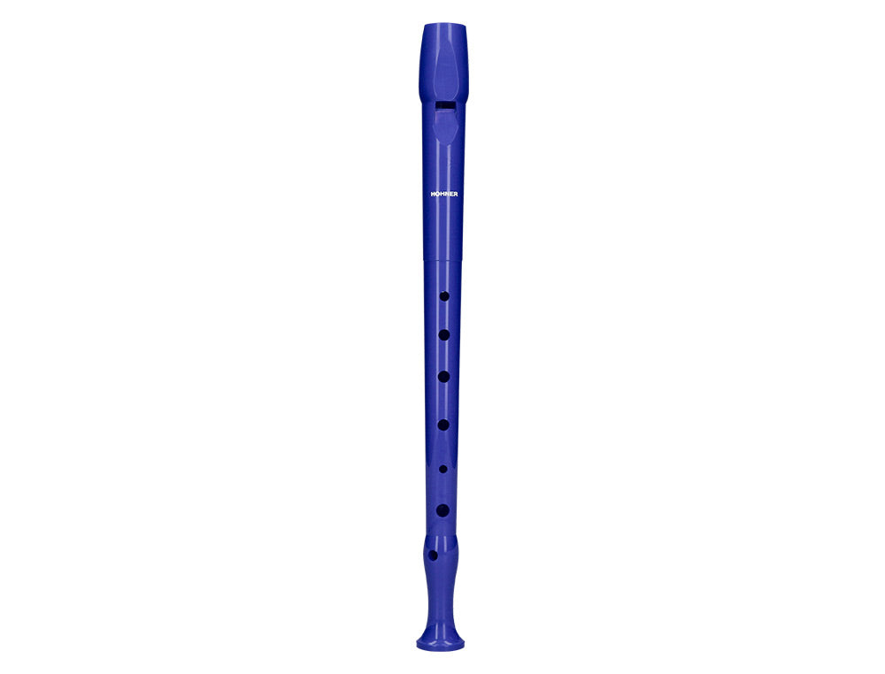 Flauta hohner 9508 funda verde y transparente