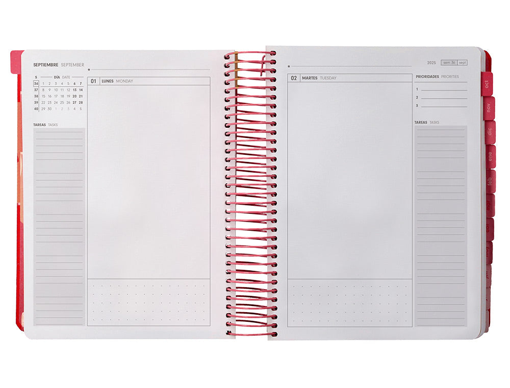 Agenda escolar antartik 25-26 espiral plans dia pagina a5 bilingüe papel fsc 80 gr